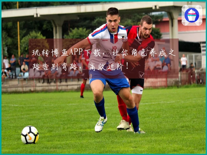 玩转博鱼APP下载，让你角色养成之路告别弯路，高效进阶！